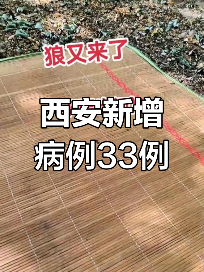 西安市疫情最新情况︰(西安市疫情最新进展)