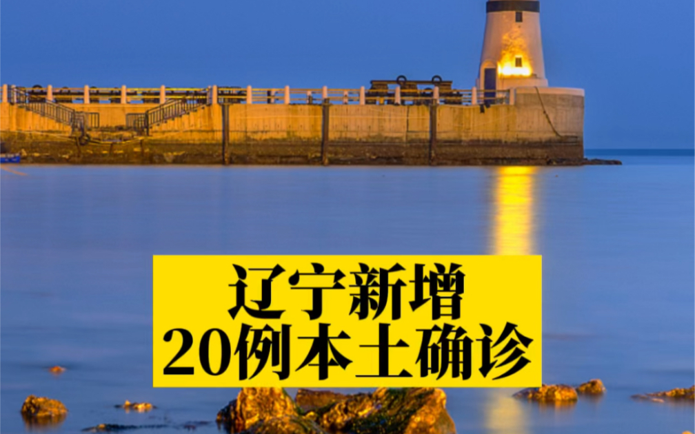 【辽宁新增20例本土/辽宁新增几例本土确诊】