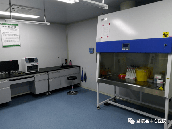 上海医院证实新冠检出确有增加,上海医院发现疑似冠状病毒病人-第2张图片