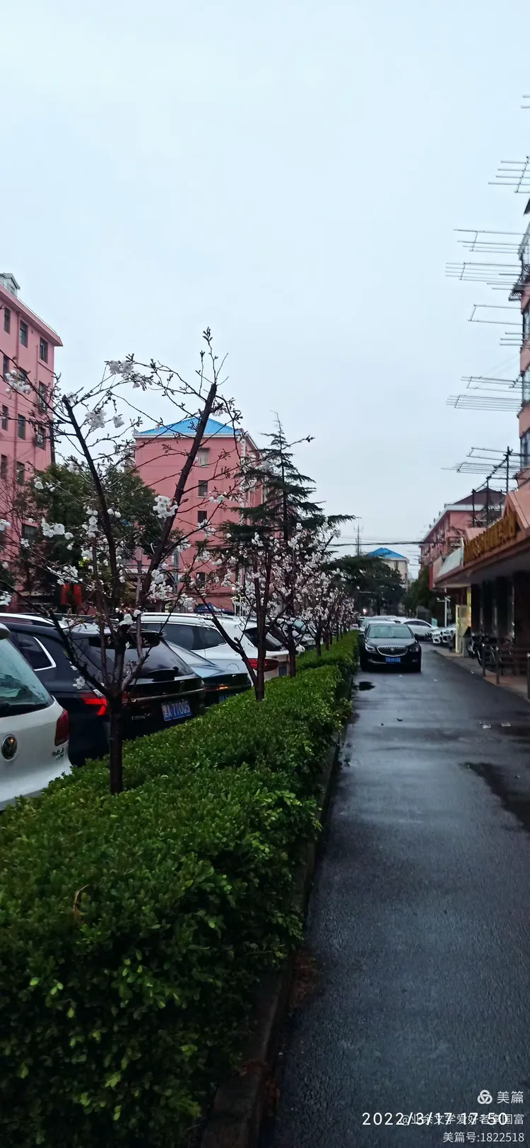 浦东疫情-浦东瘦情-第1张图片